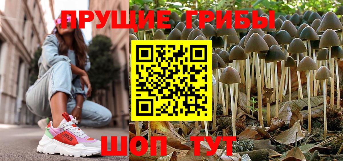 Псилоцибиновые грибы MAGIC MUSHROOMS Каменка